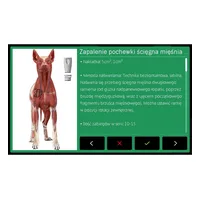 Ekran Polaris HP Vet z programem zabiegowym dla psa
