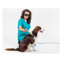Laseroterapia wysokoenergetyczna psa aparatem Polaris HP Vet