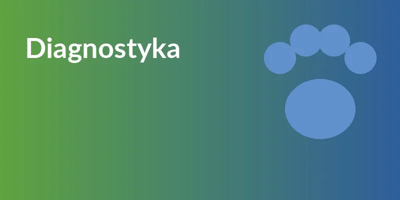 Diagnostyka