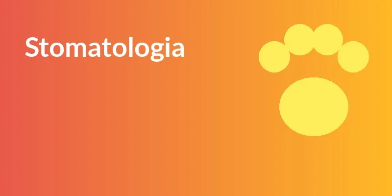 Stomatologia
