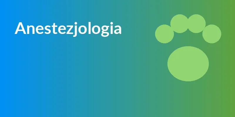 Anestezjologia