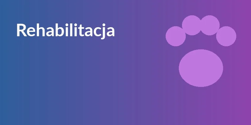 Fizjoterapia