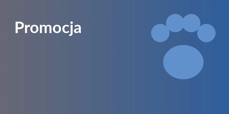 Promocja